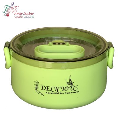 ظرف غذا خارجی استیل ماکرویو سبز 800 میل