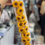 کش موی جفتی آفتابگردان